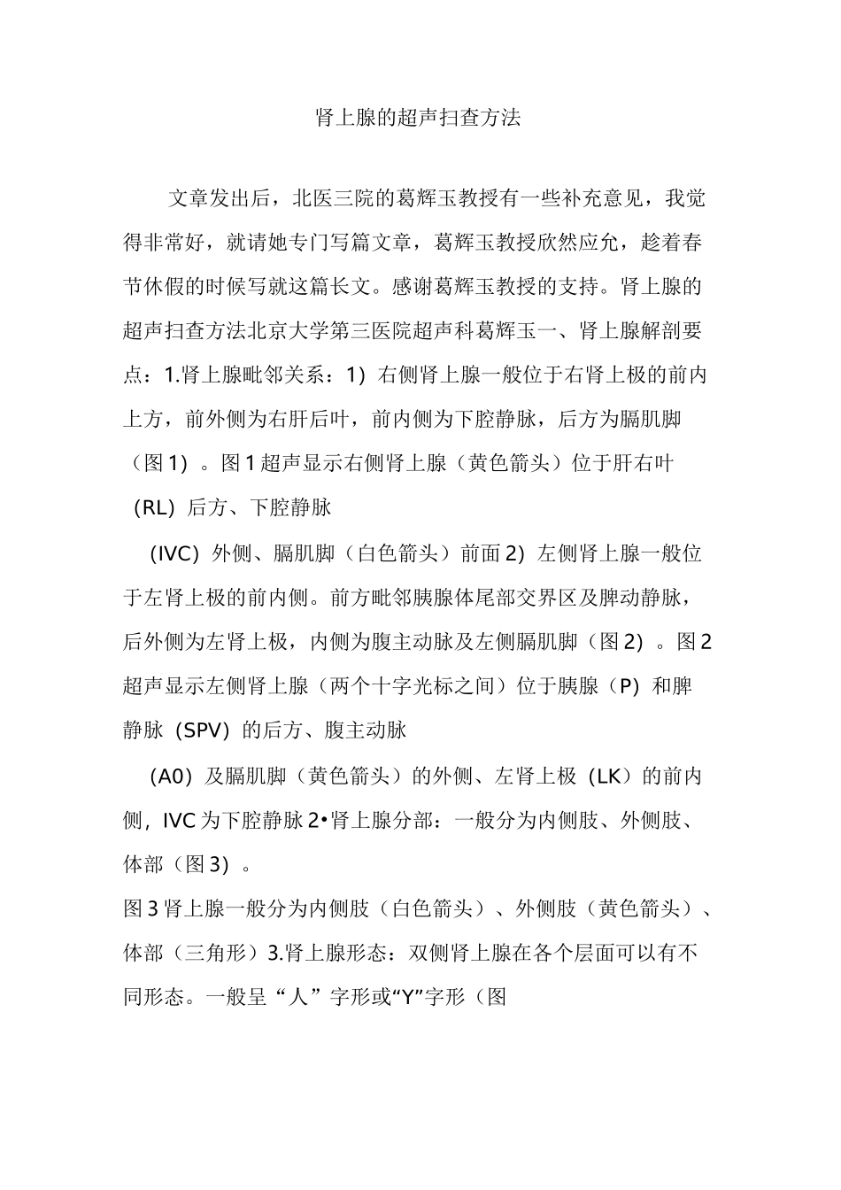 肾上腺的超声扫查方法_第1页