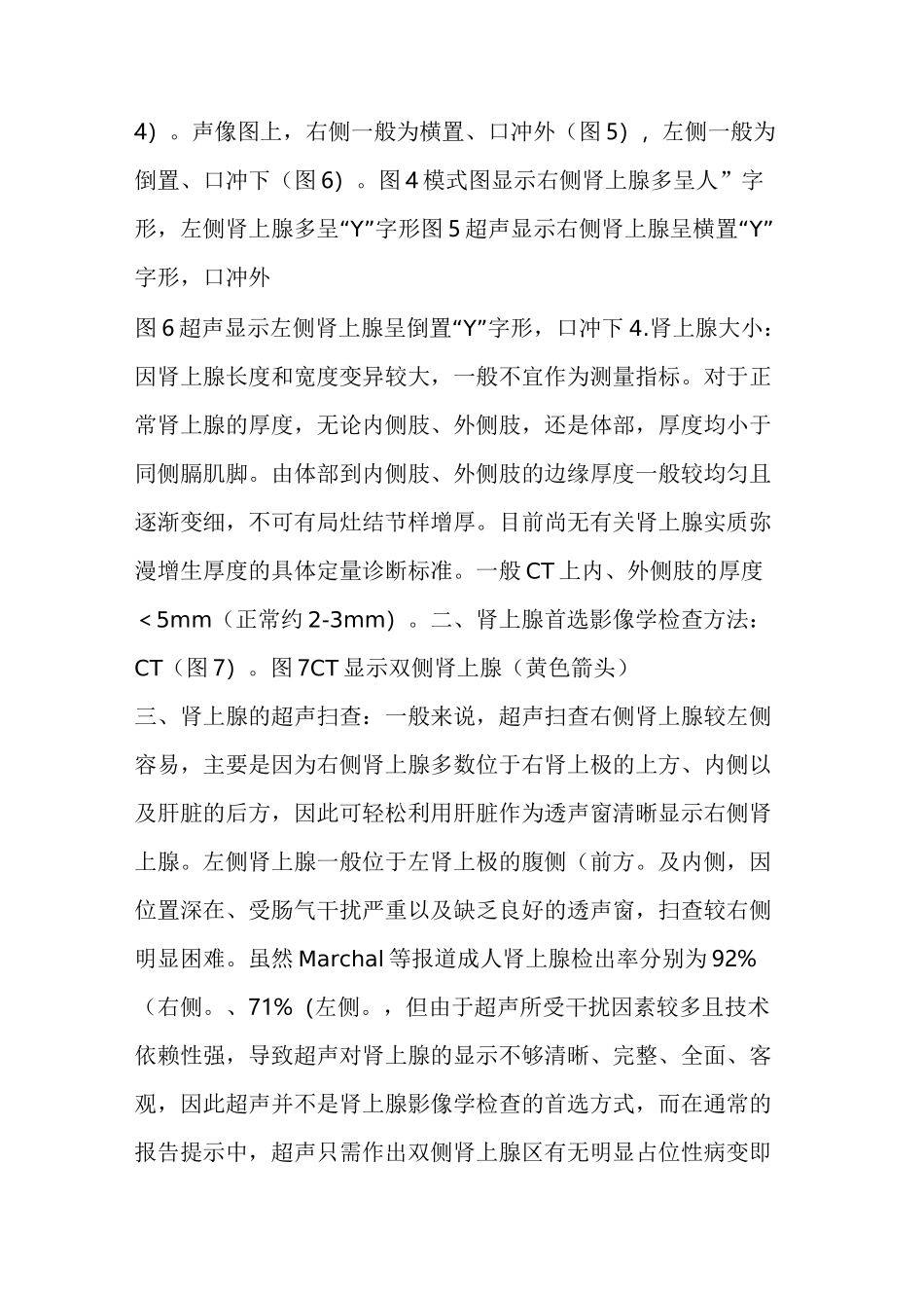 肾上腺的超声扫查方法_第2页