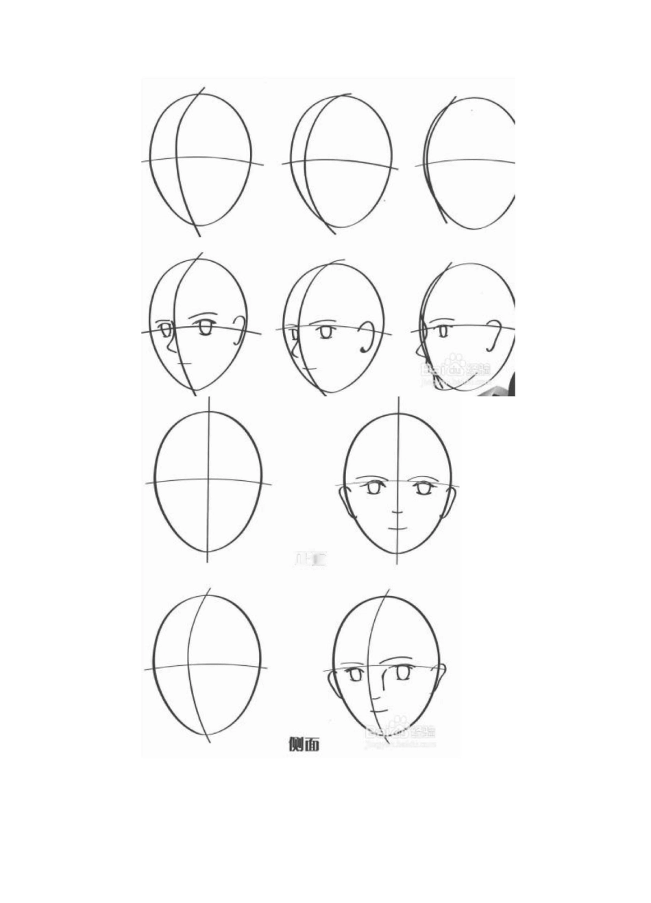 零基础初学入门画漫画手绘教程教学习_第2页