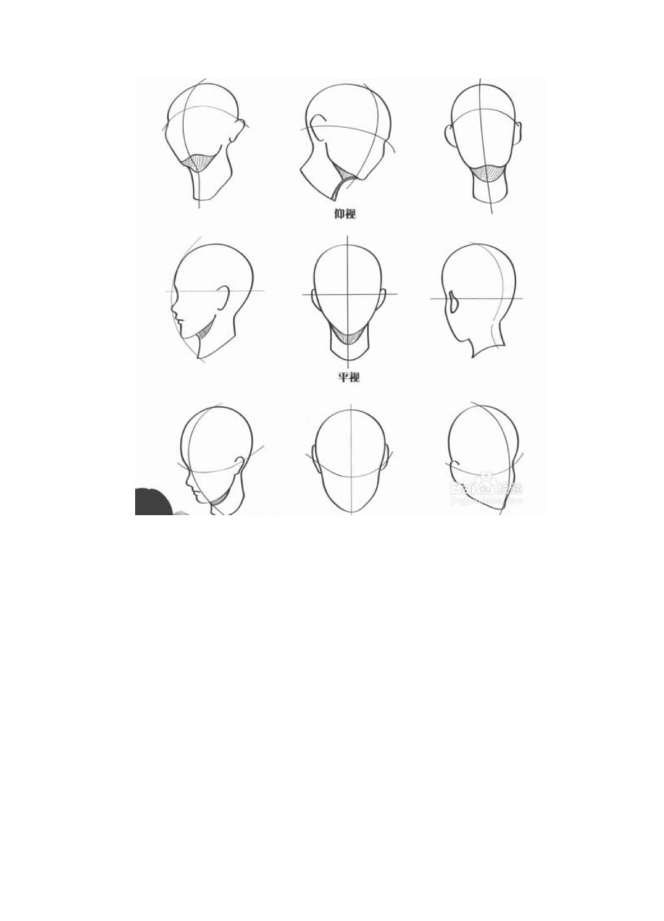 零基础初学入门画漫画手绘教程教学习_第3页