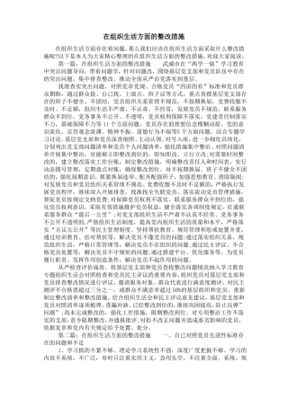 在组织生活方面的整改措施