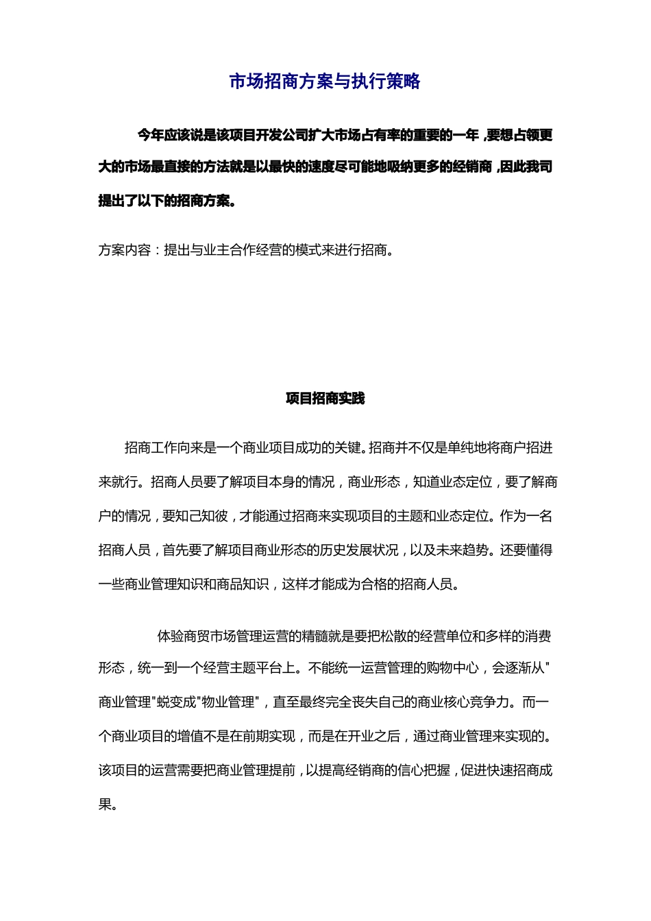 场招商方案与执行策略_第1页