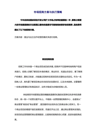 场招商方案与执行策略