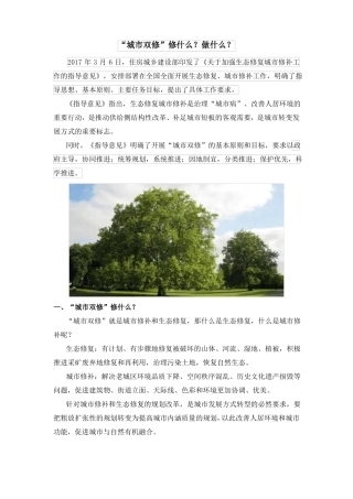 城双修修什么？做什么？