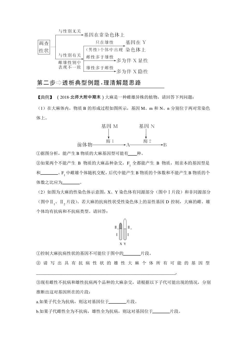 基因位置的确定及遗传试验类试题解题技巧_第3页