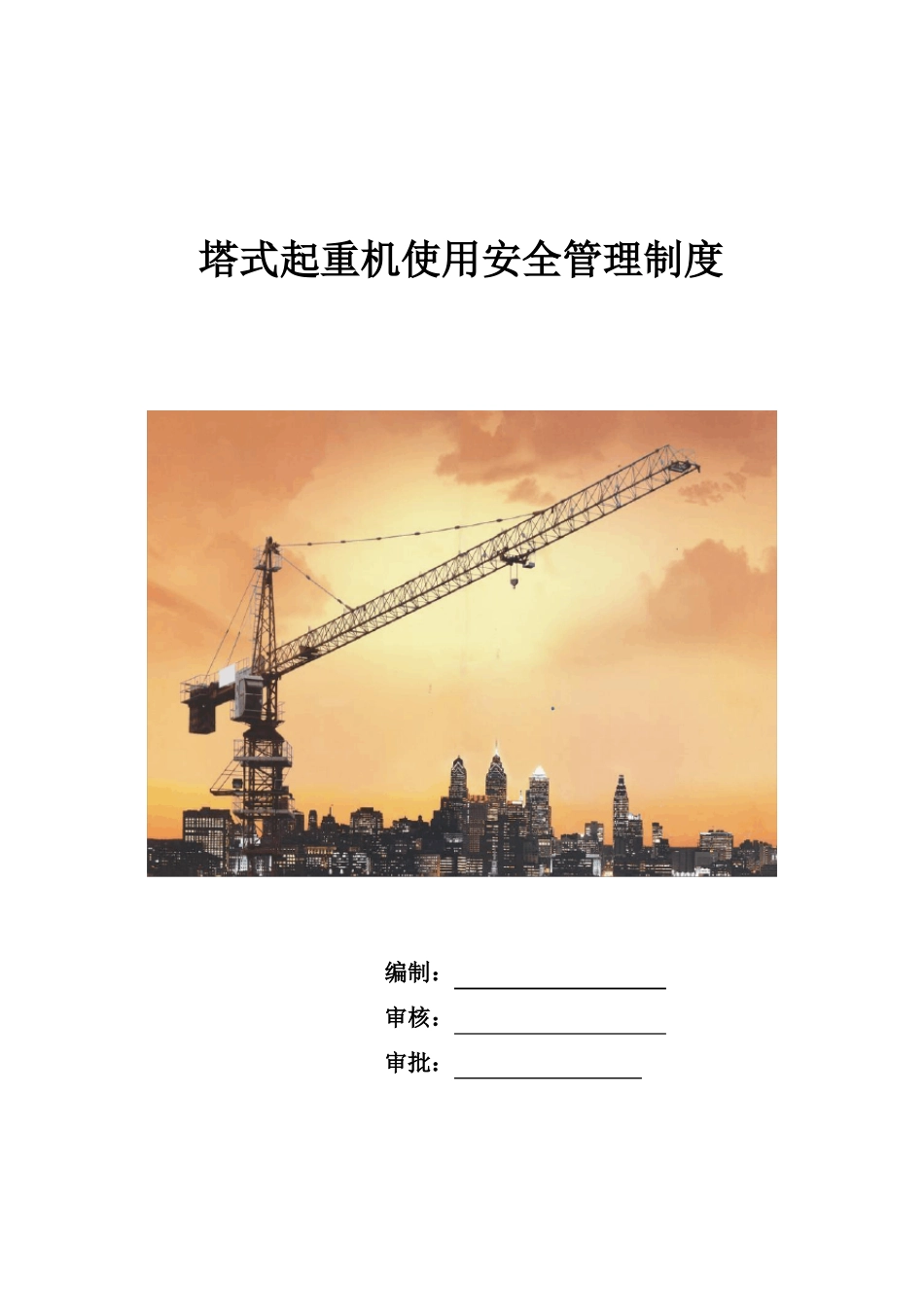 塔式起重机使用安全管理制度_第1页