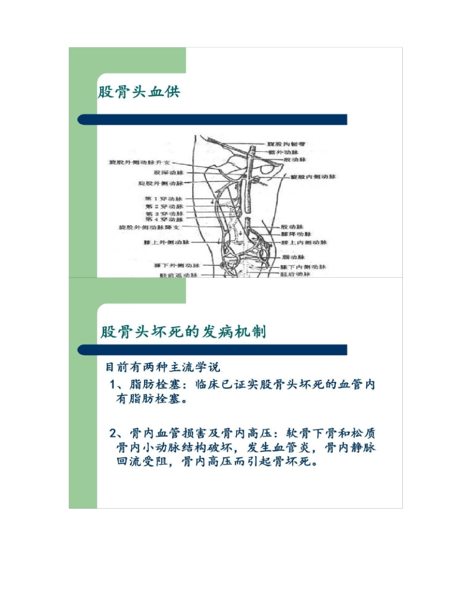 外科学第八版股骨头坏死课件精_第2页