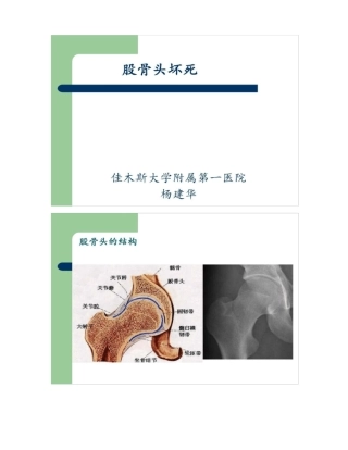 外科学第八版股骨头坏死课件精