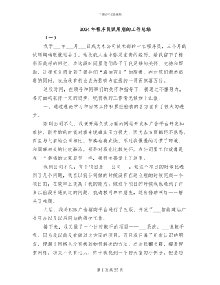 2024年程序员试用期的工作总结
