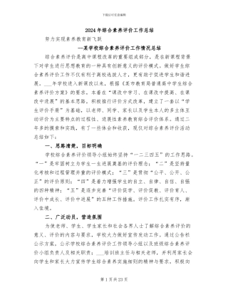 2024年综合素质评价工作总结