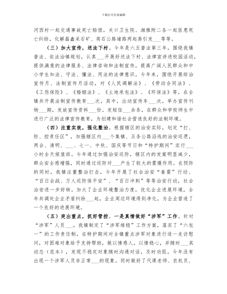 2024年综治政法工作总结_第3页