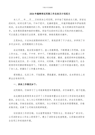 2024年编辑部试用期工作总结及计划范文