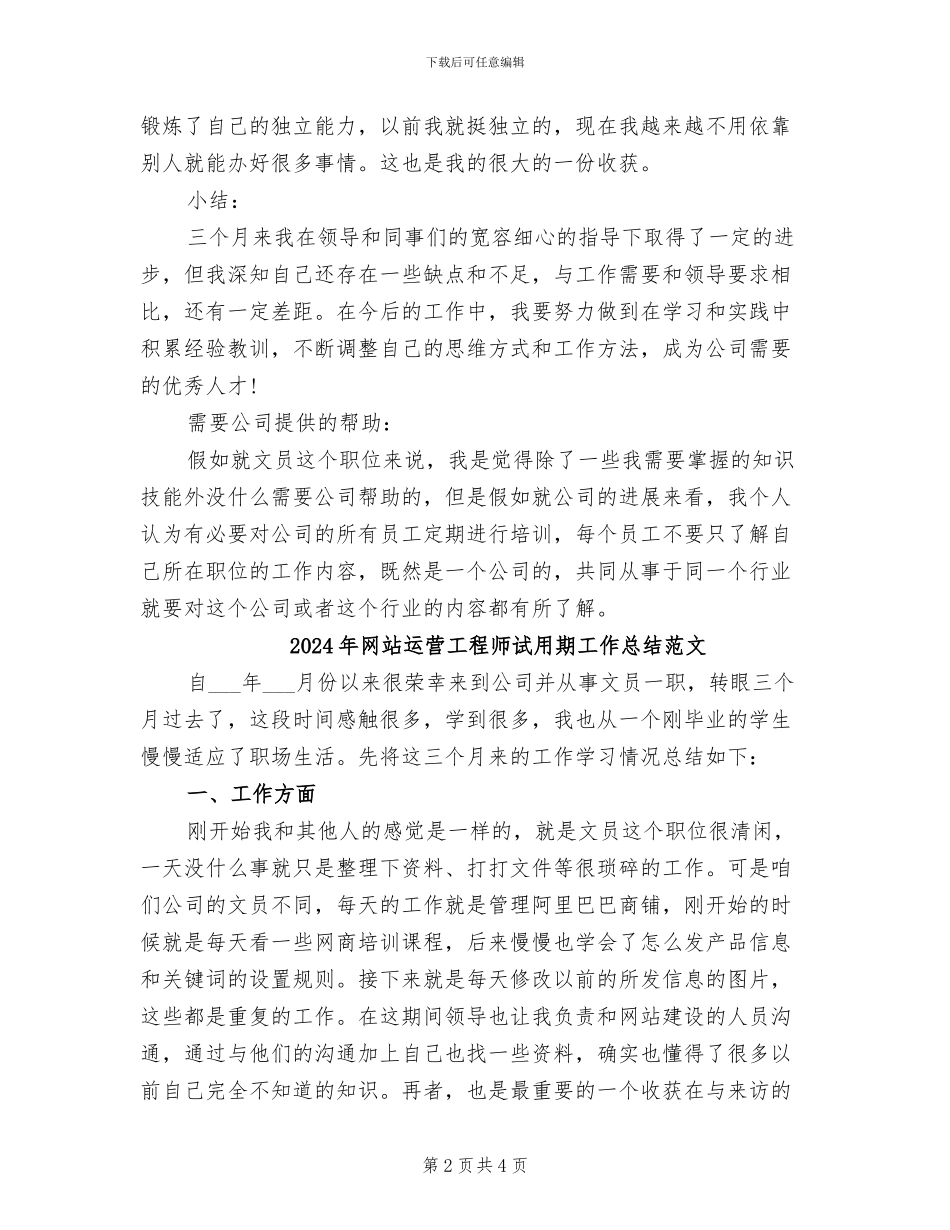 2024年网站运营工程师试用期工作总结_第2页