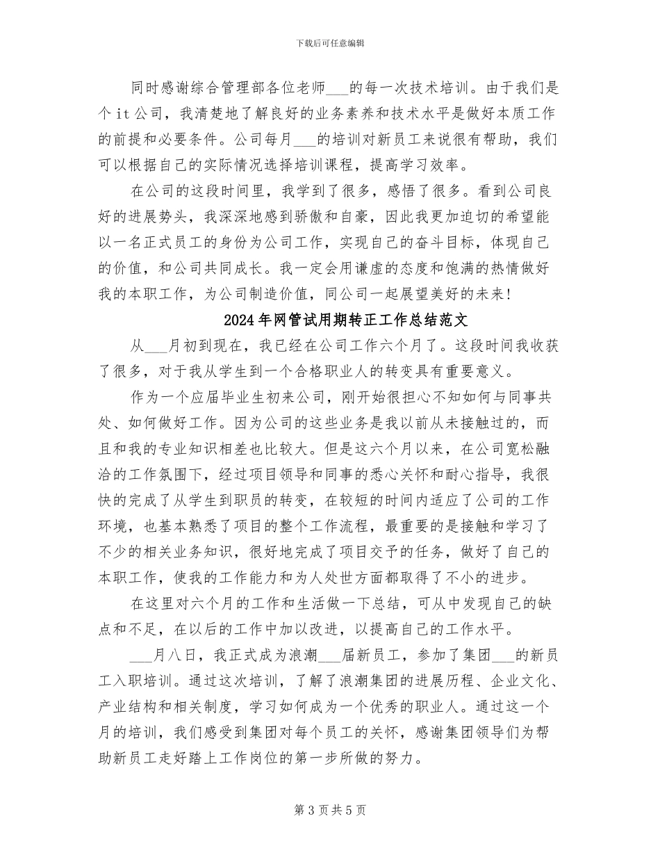 2024年网管试用期转正工作总结_第3页