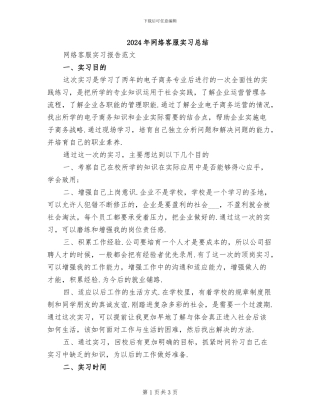 2024年网络客服实习总结