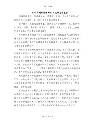 2024年网络营销WEB2.0实验总结报告