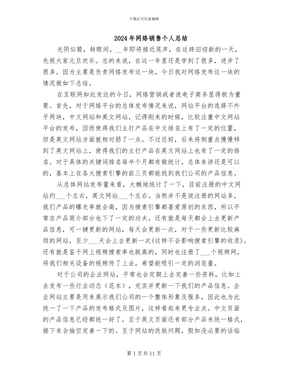 2024年网络销售个人总结_第1页