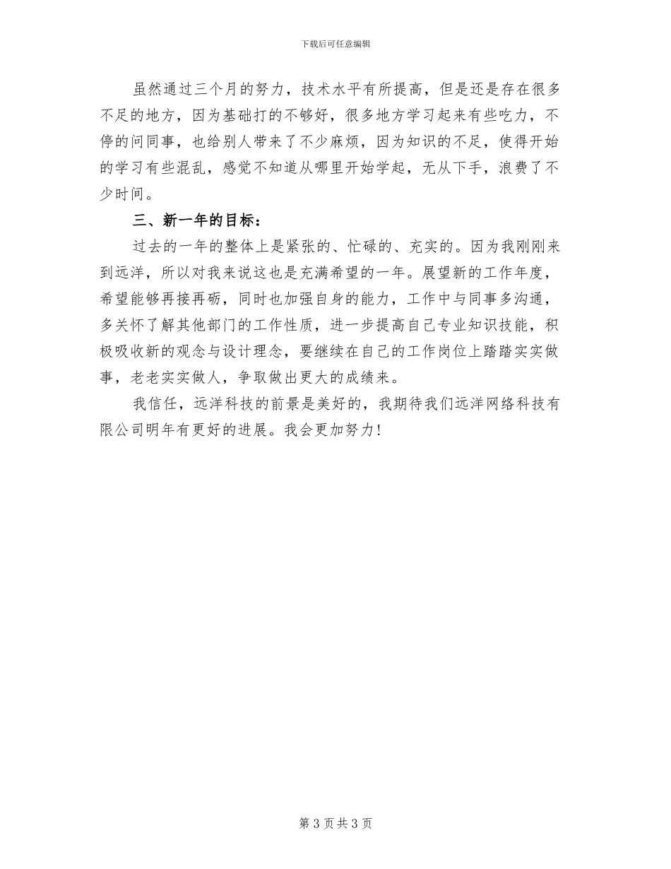 2024年网页设计师年度工作总结_第3页