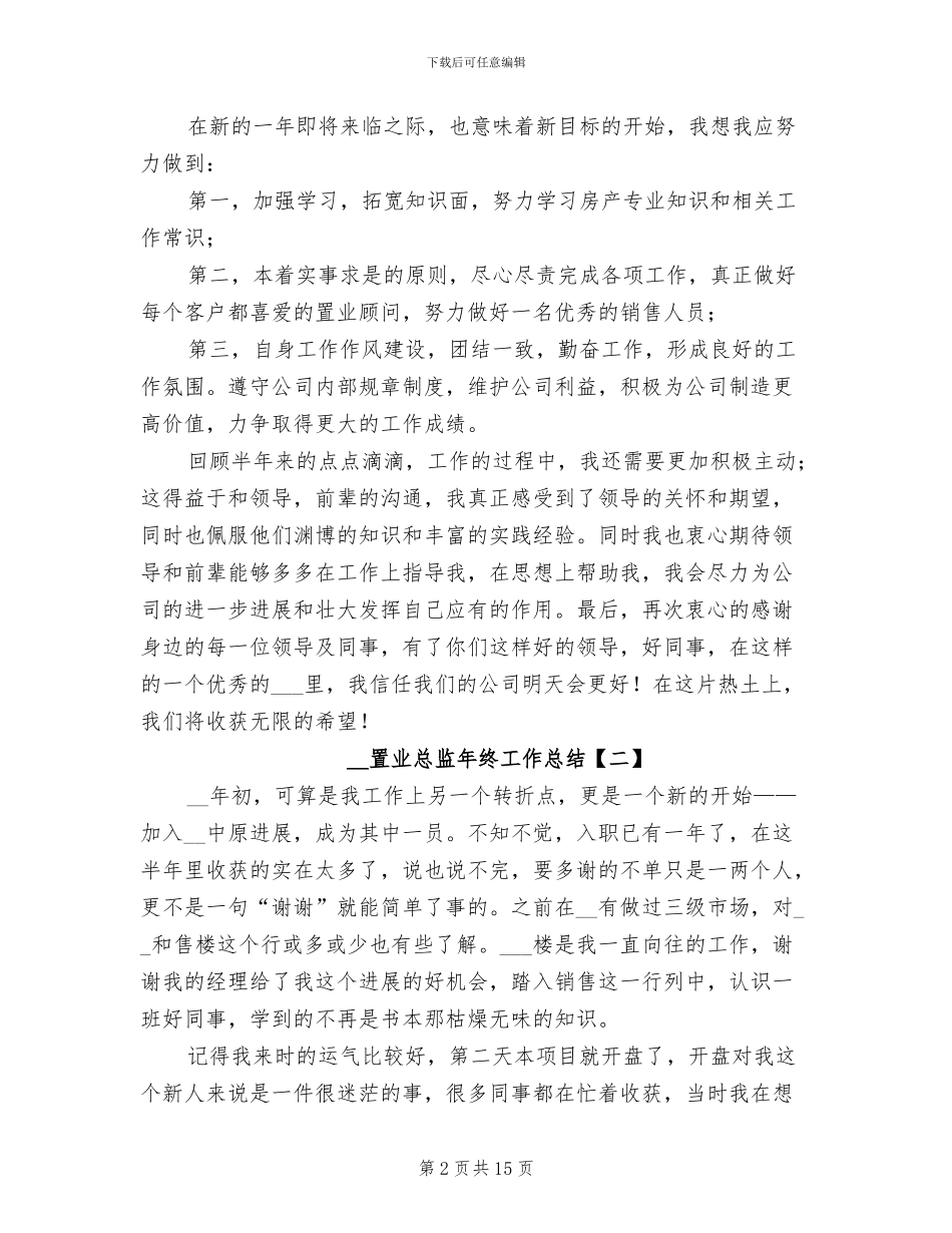 2024年置业总监年终工作总结_第2页