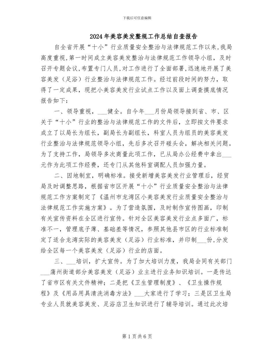 2024年美容美发整规工作总结自查报告_第1页