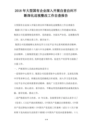 大型国有企业深入开展自查自纠不断深化巡视整改工作自查报告