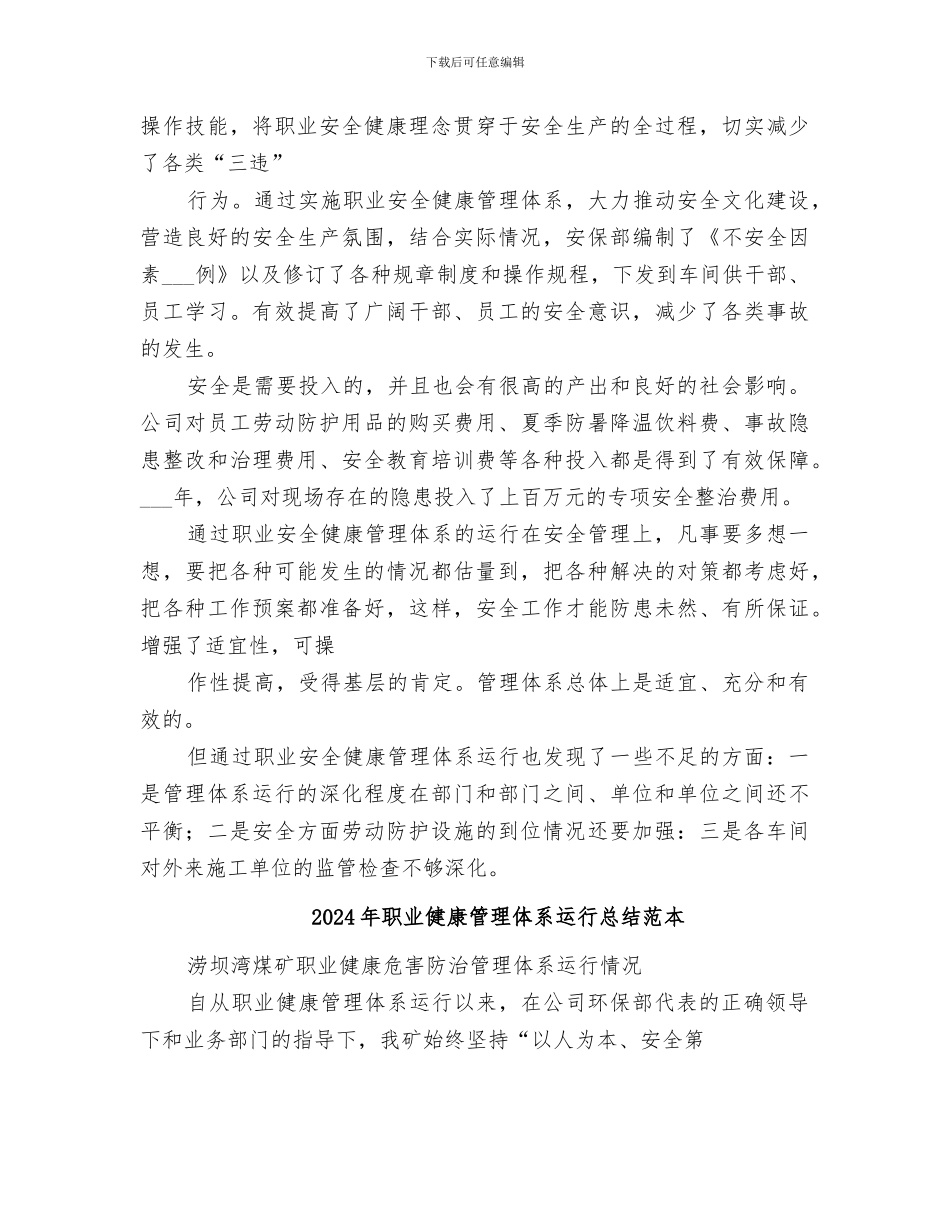 2024年职业健康管理体系运行总结范文_第3页