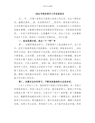 2024年职务晋升工作总结范本