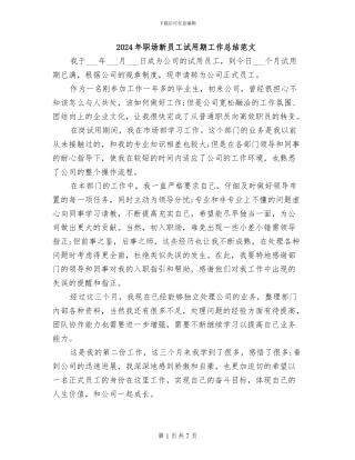 2024年职场新员工试用期工作总结范文