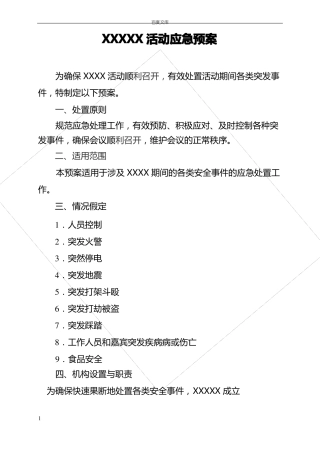 大型活动安全预案模板