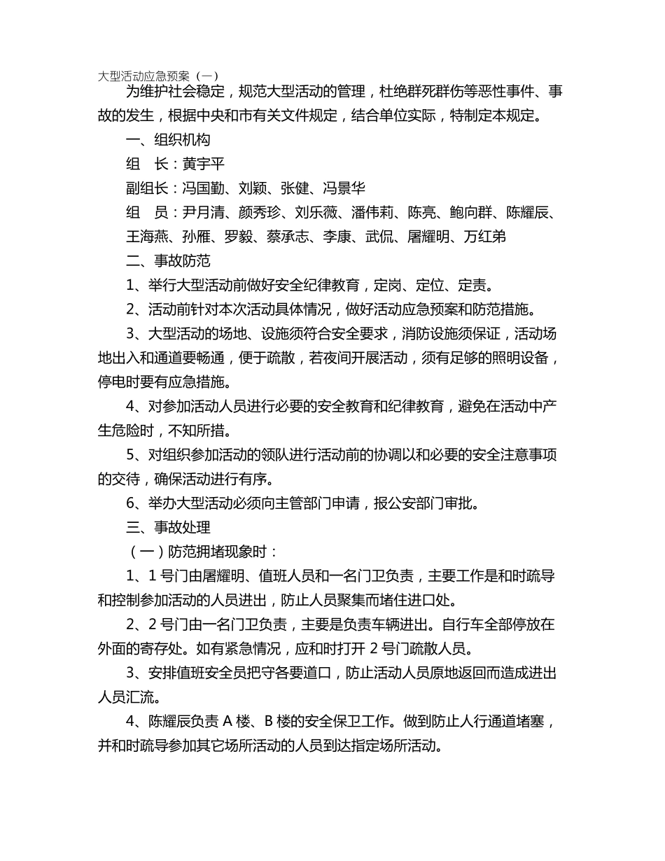 大型活动应急预案_第1页