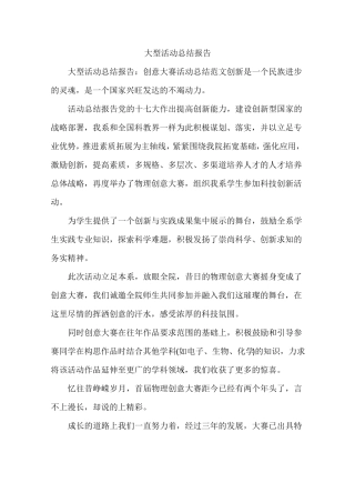 大型活动总结报告