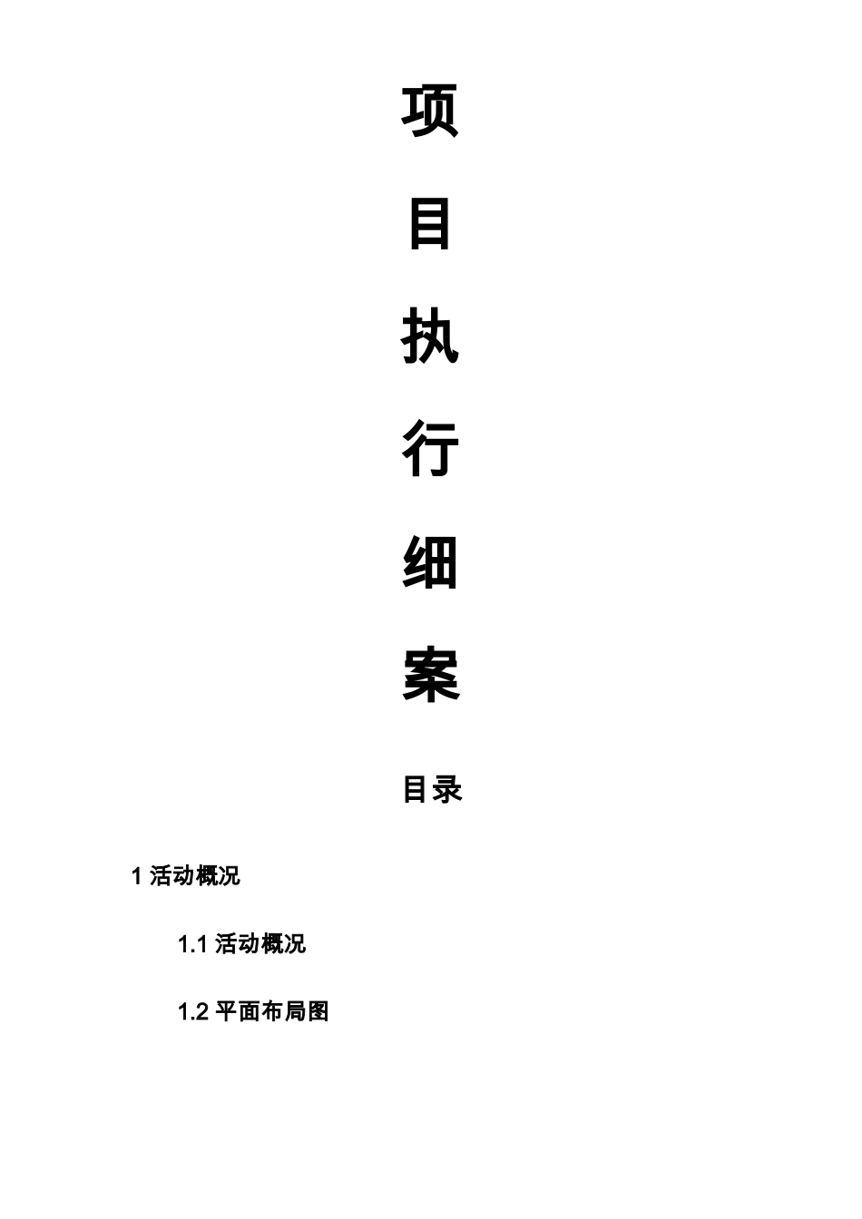 大型活动执行方案_第1页