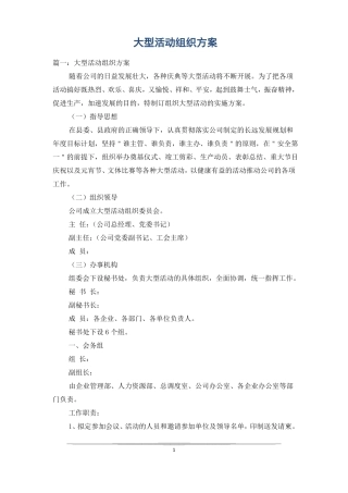 大型活动组织方案