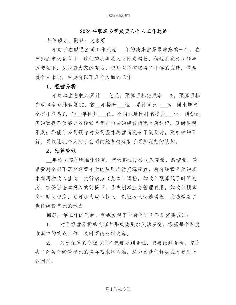 2024年联通公司负责人个人工作总结_第1页