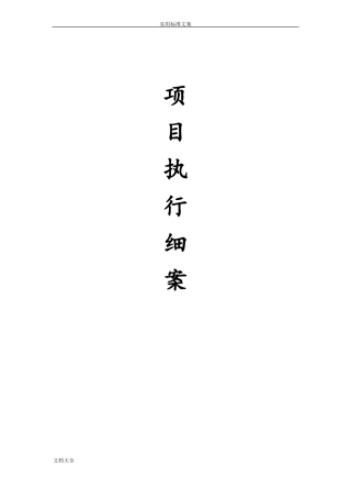 大型精彩活动执行方案设计