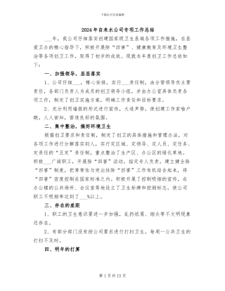 2024年自来水公司专项工作总结