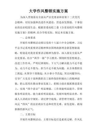 大学作风整顿实施方案