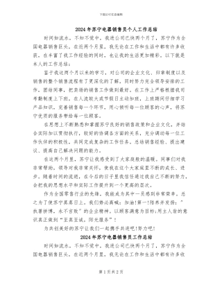 2024年苏宁电器销售员个人工作总结