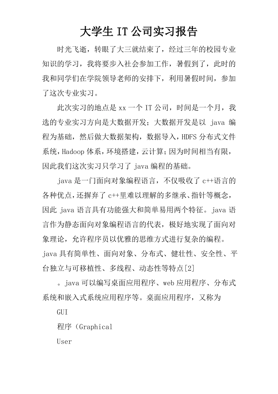 大学生IT公司实习报告_第1页