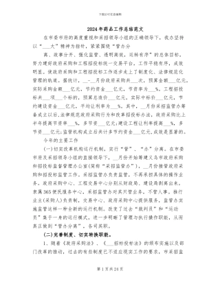 2024年药品工作总结范文