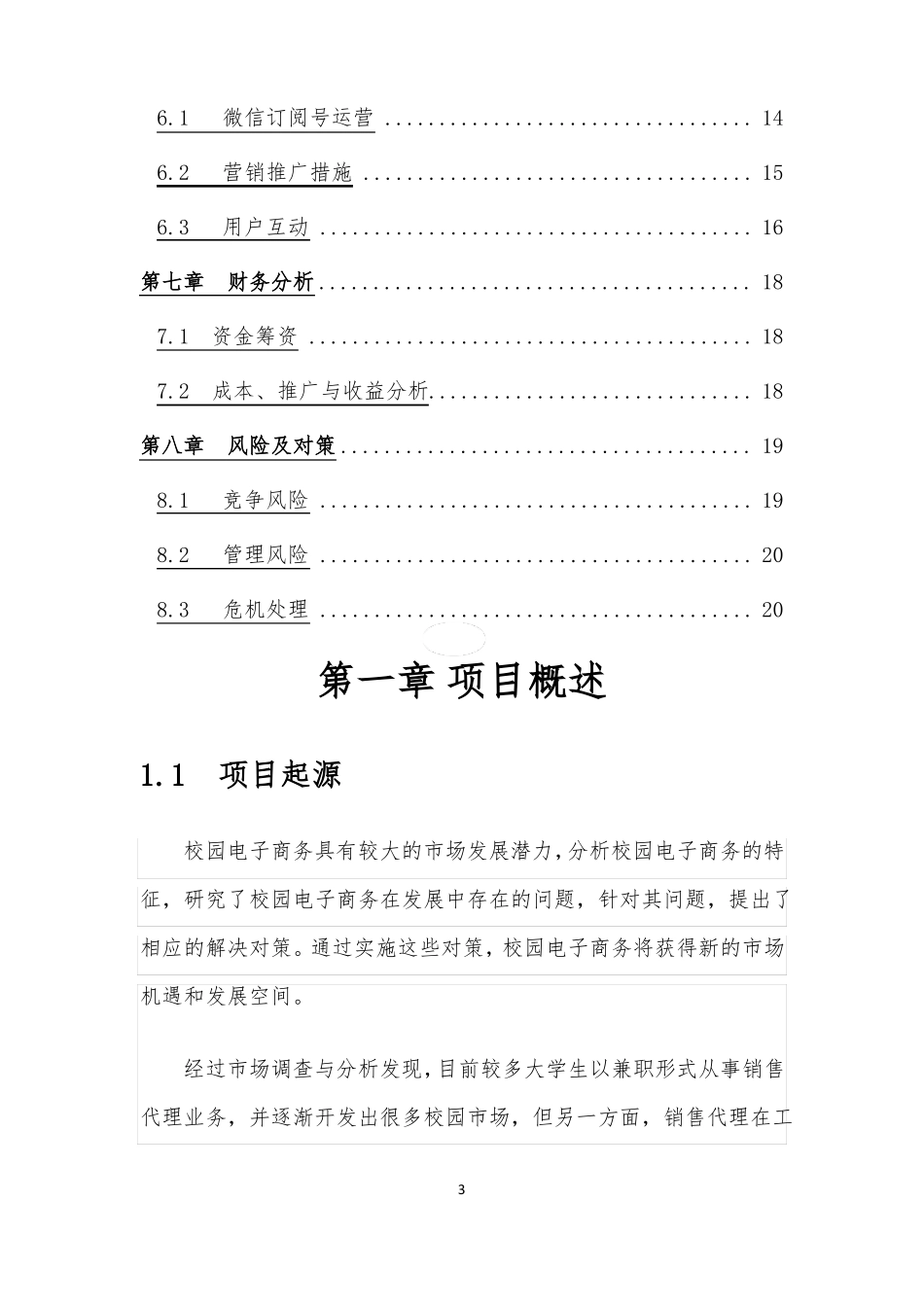 大学生创新创业互联网+项目策划书_第3页