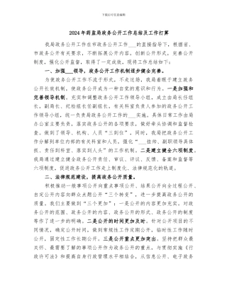 2024年药监局政务公开工作总结及工作打算
