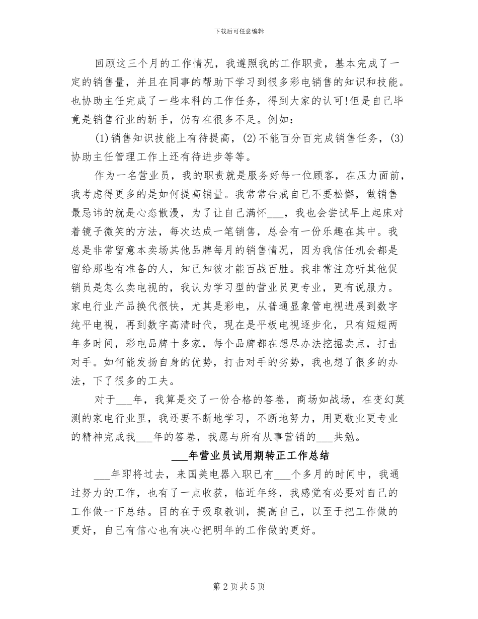 2024年营业员试用期总结_第2页