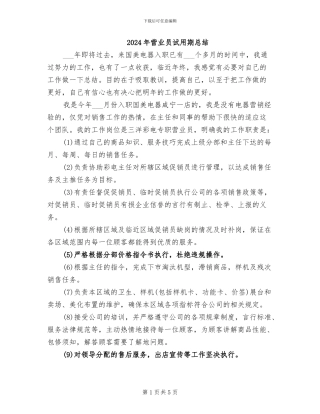 2024年营业员试用期总结