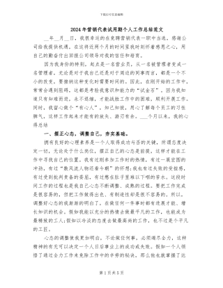 2024年营销代表试用期个人工作总结范文