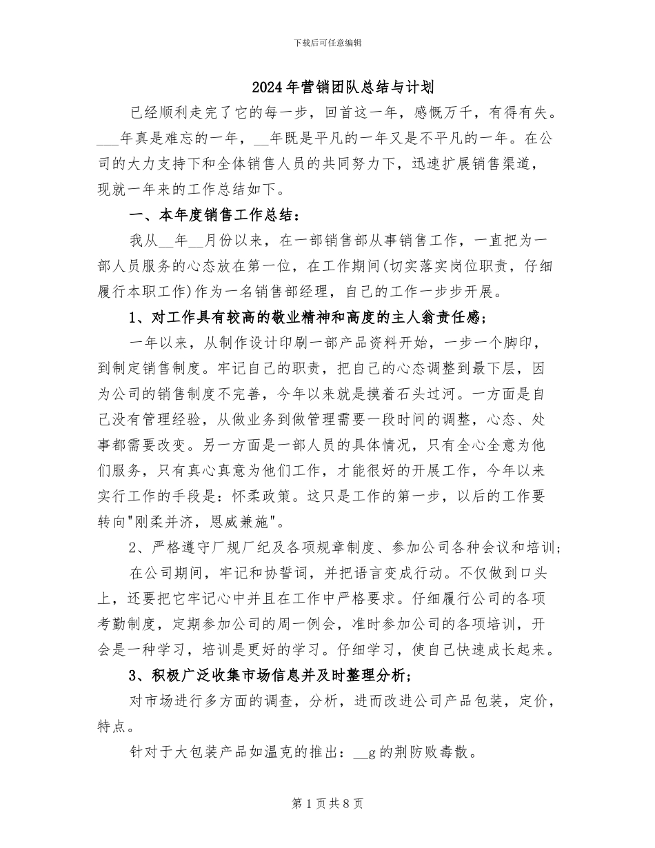 2024年营销团队总结与计划_第1页