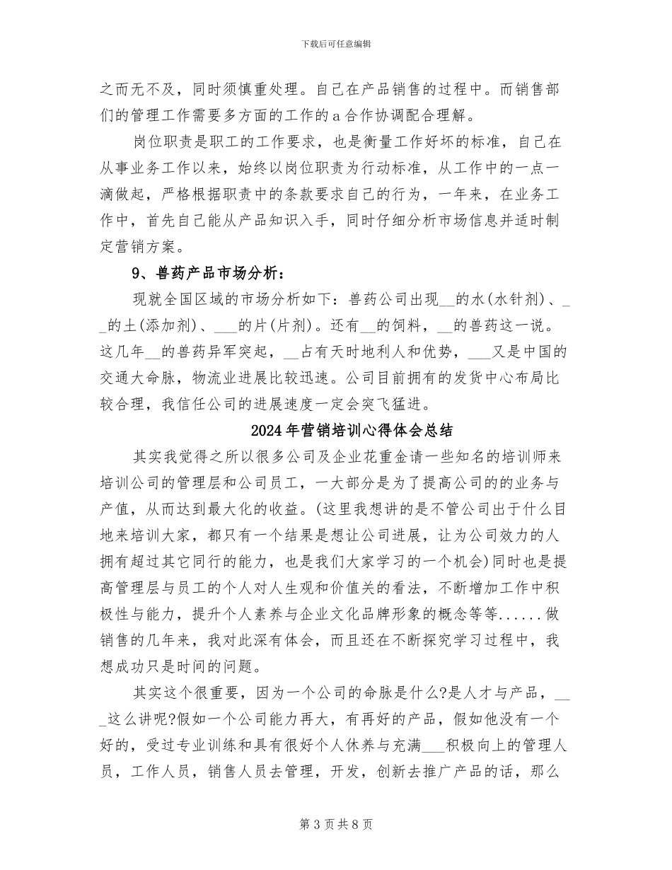 2024年营销团队总结与计划_第3页