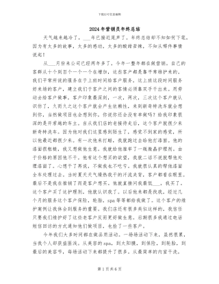2024年营销员年终总结