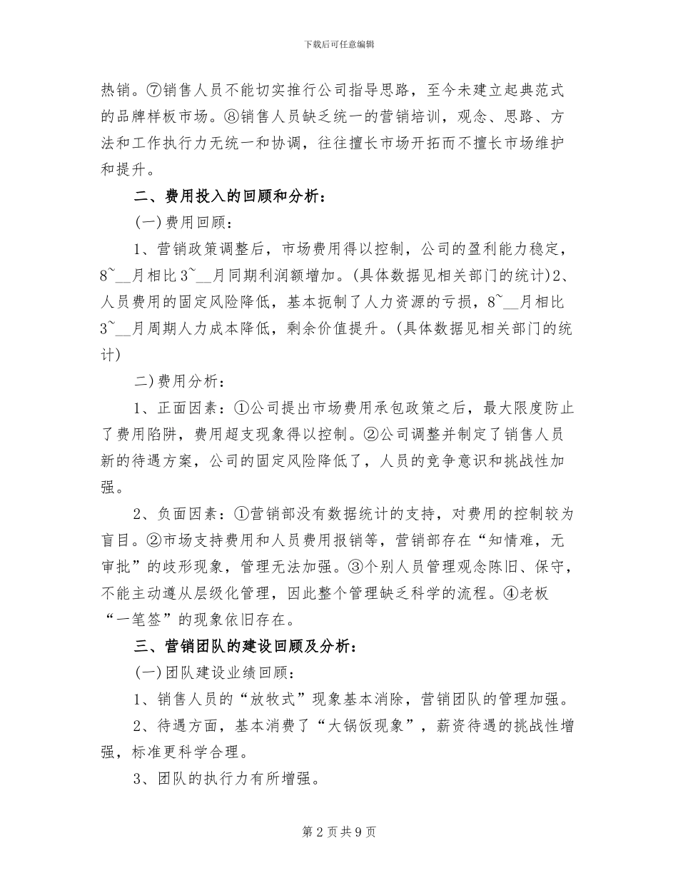 2024年营销总监个人工作总结范文_第2页