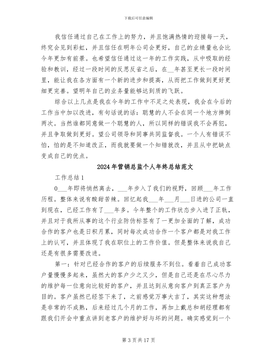 2024年营销总监个人年终总结_第3页